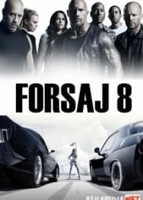 Forsaj 8 (2017) posteri